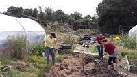 BPI Volunteering 4, digging